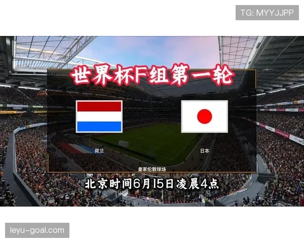 世界杯F组热门话题盘点